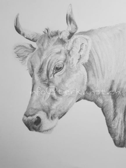 tierkunst.ch