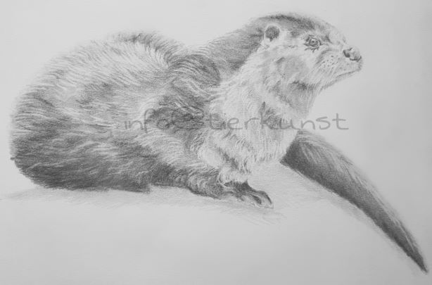 tierkunst.ch