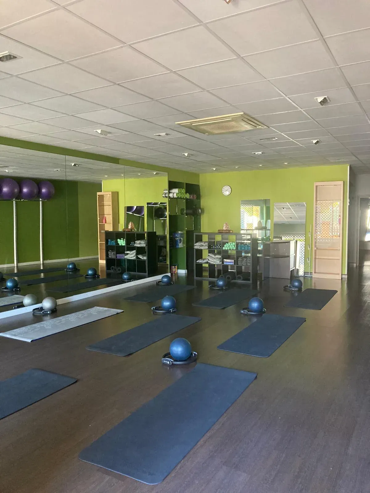 Mujer haciendo ejercicio con una pelota en un estudio, con la pierna levantada.