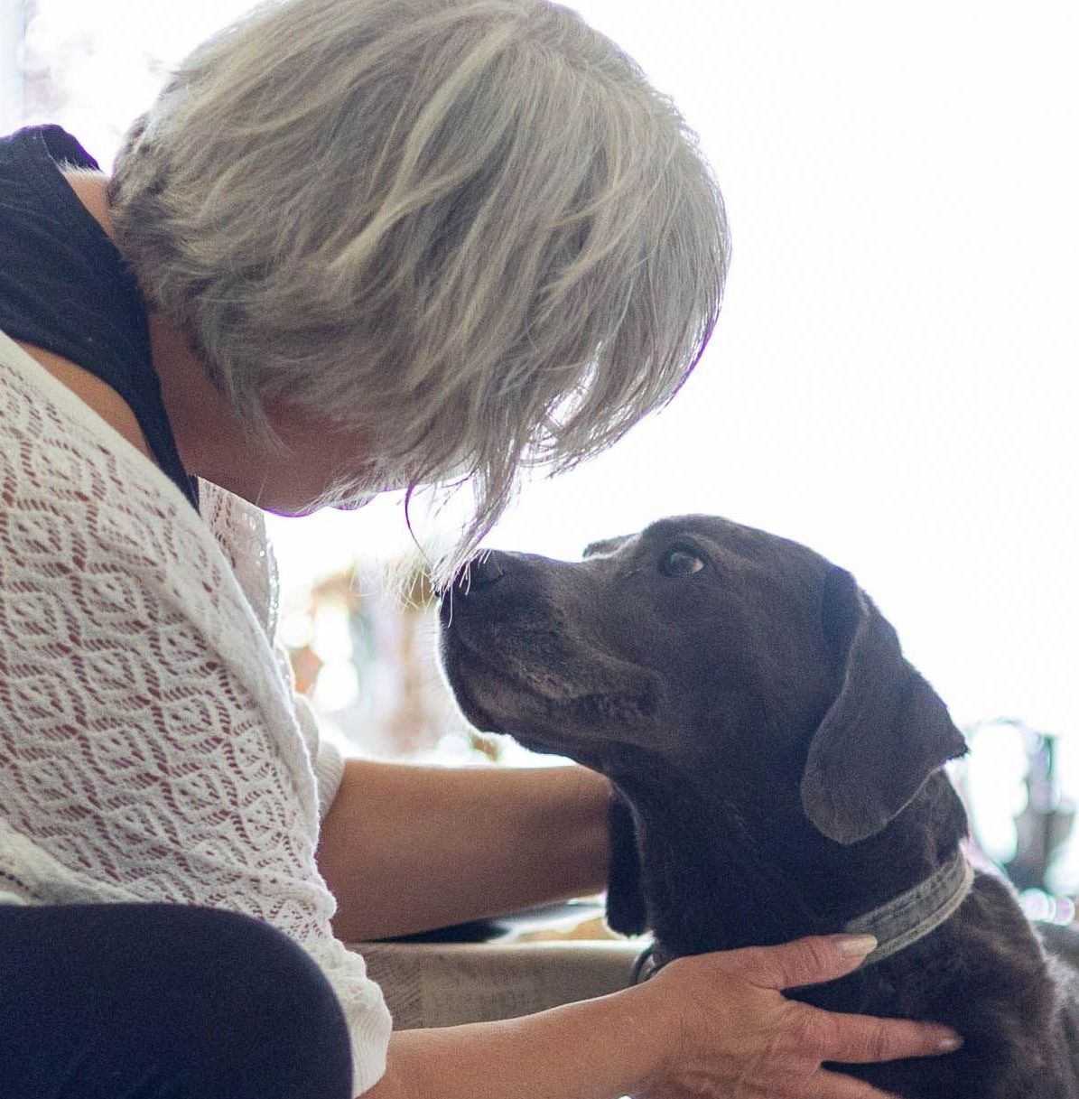 Eine Frau streichelt einen Hund, der sie ansieht