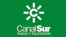 Logotipo de CanalSur Radio y Televisión: sol blanco con la letra 