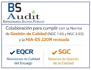 Tarjeta de presentación de BS Audit y Equipo Q, que ofrecen servicios en normas de gestión de calidad y revisiones de auditoría.