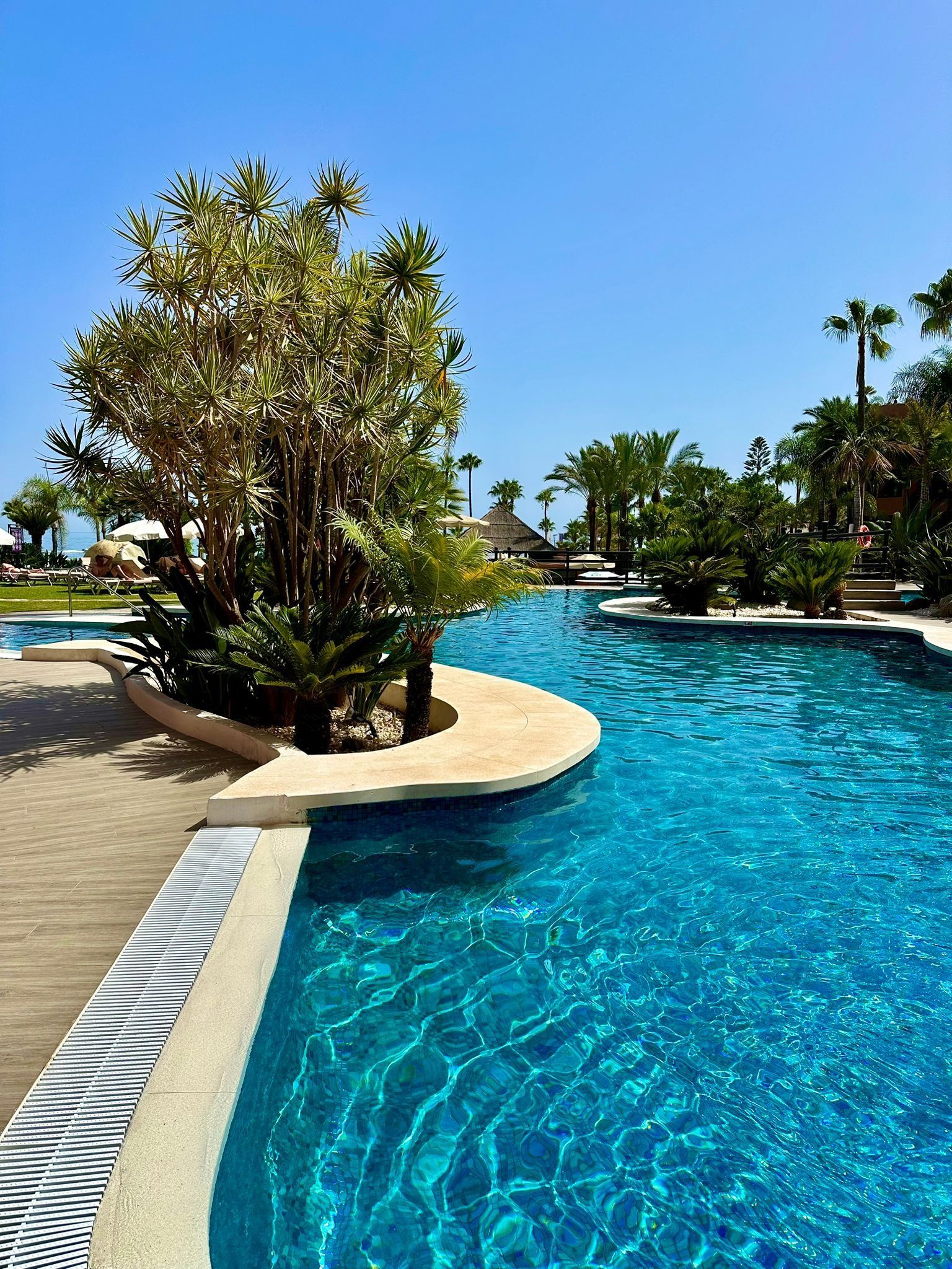 Piscina con agua turquesa, palmeras y cielo azul despejado.