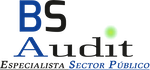Logotipo de BS Audit, especialista en el sector público. BS en azul, S en negro y texto «Audit» con punto verde.