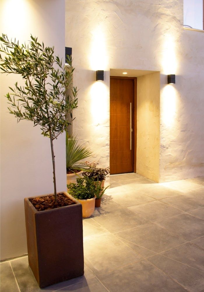 Una planta en maceta está delante de una puerta en un pasillo.