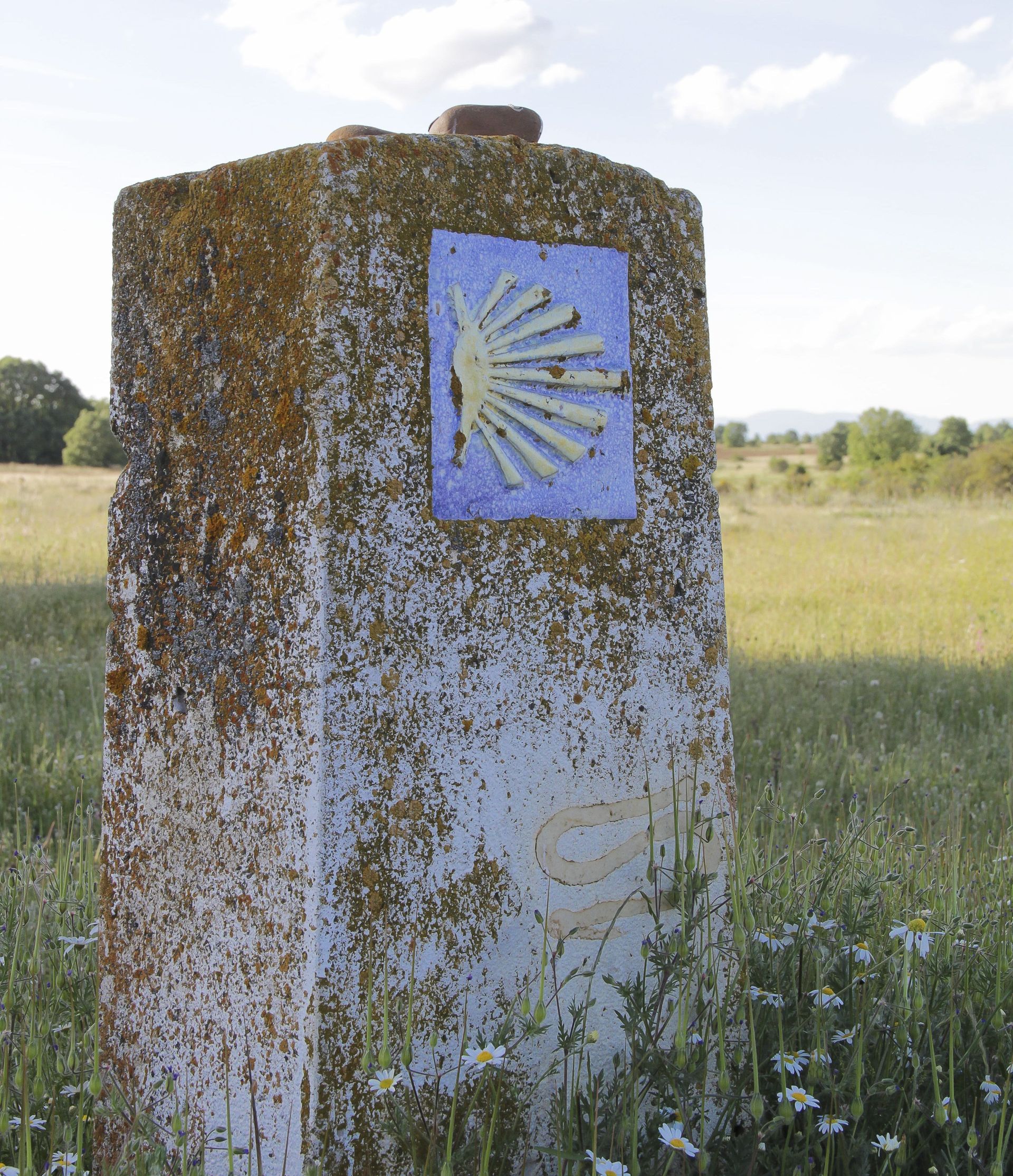 Una piedra en un campo con la imagen de un abanico.