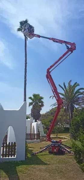 Una plataforma elevadora roja se encuentra junto a un edificio blanco, con un trabajador elevado cerca de palmeras