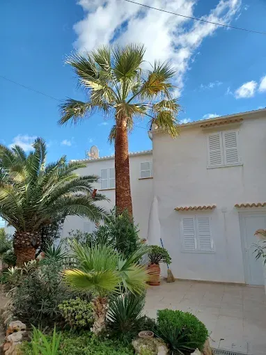 Casa de estuco blanco con palmeras y exuberantes jardines bajo un cielo azul.