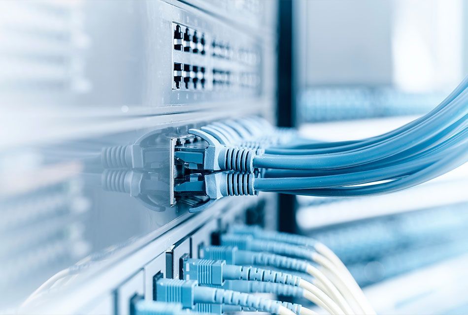 Câbles Ethernet branchés à un serveur