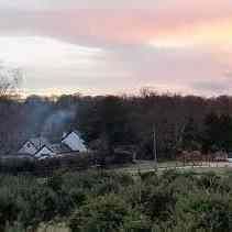 New Forest Property Holidays
