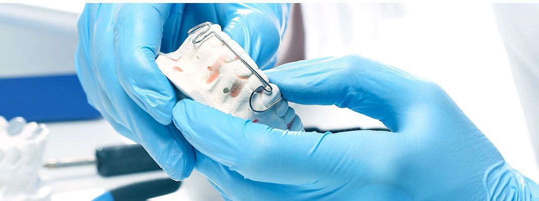 Una persona que lleva guantes azules sostiene un modelo de diente.