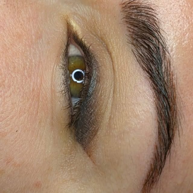 Un primer plano del ojo de una mujer con delineador de ojos y cejas.