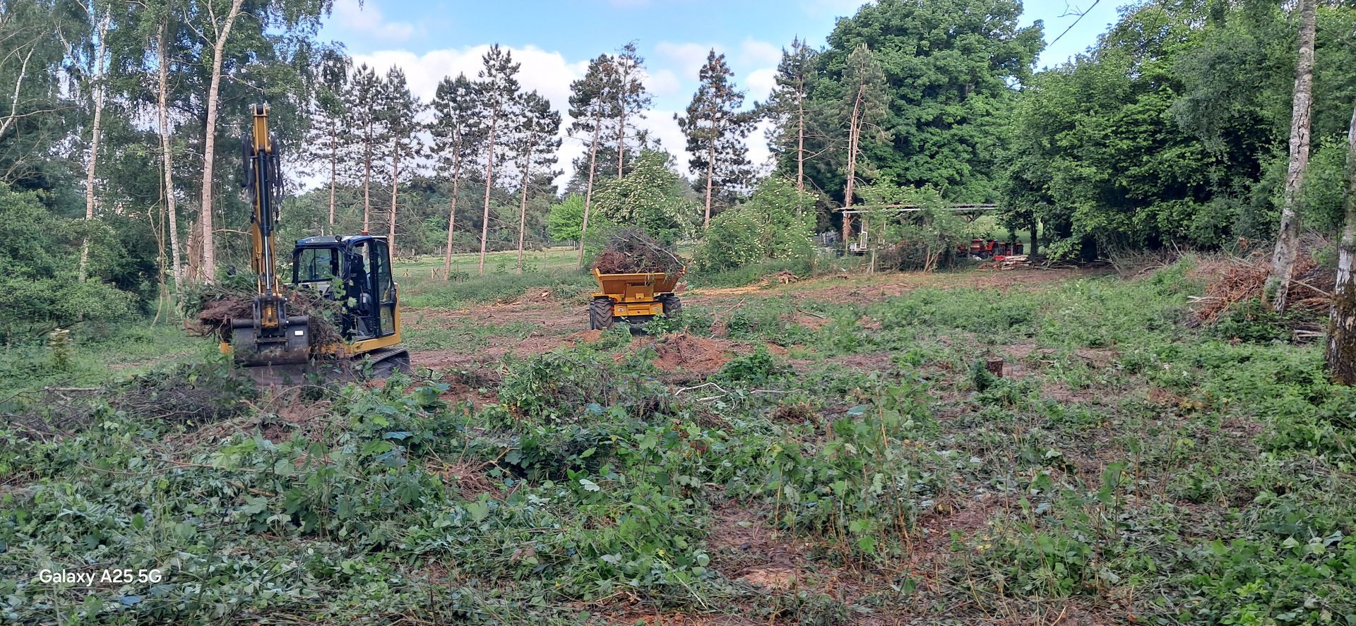 Une clairière en travaux.