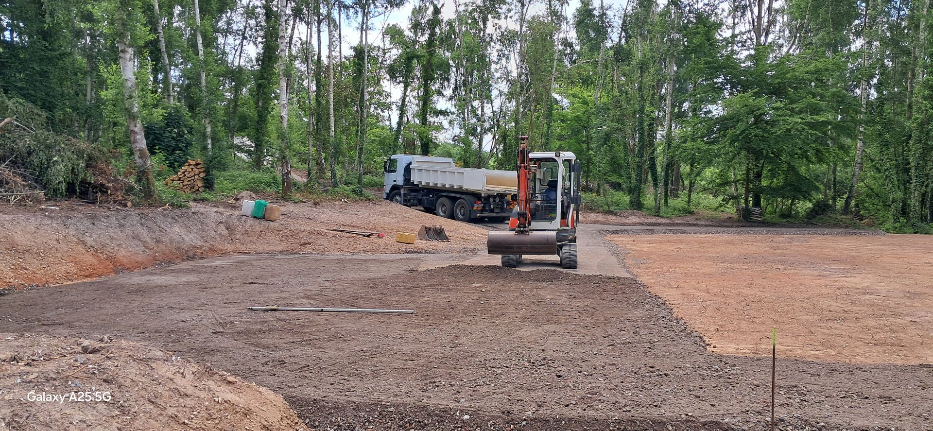 Des engins de chantier en forêt.