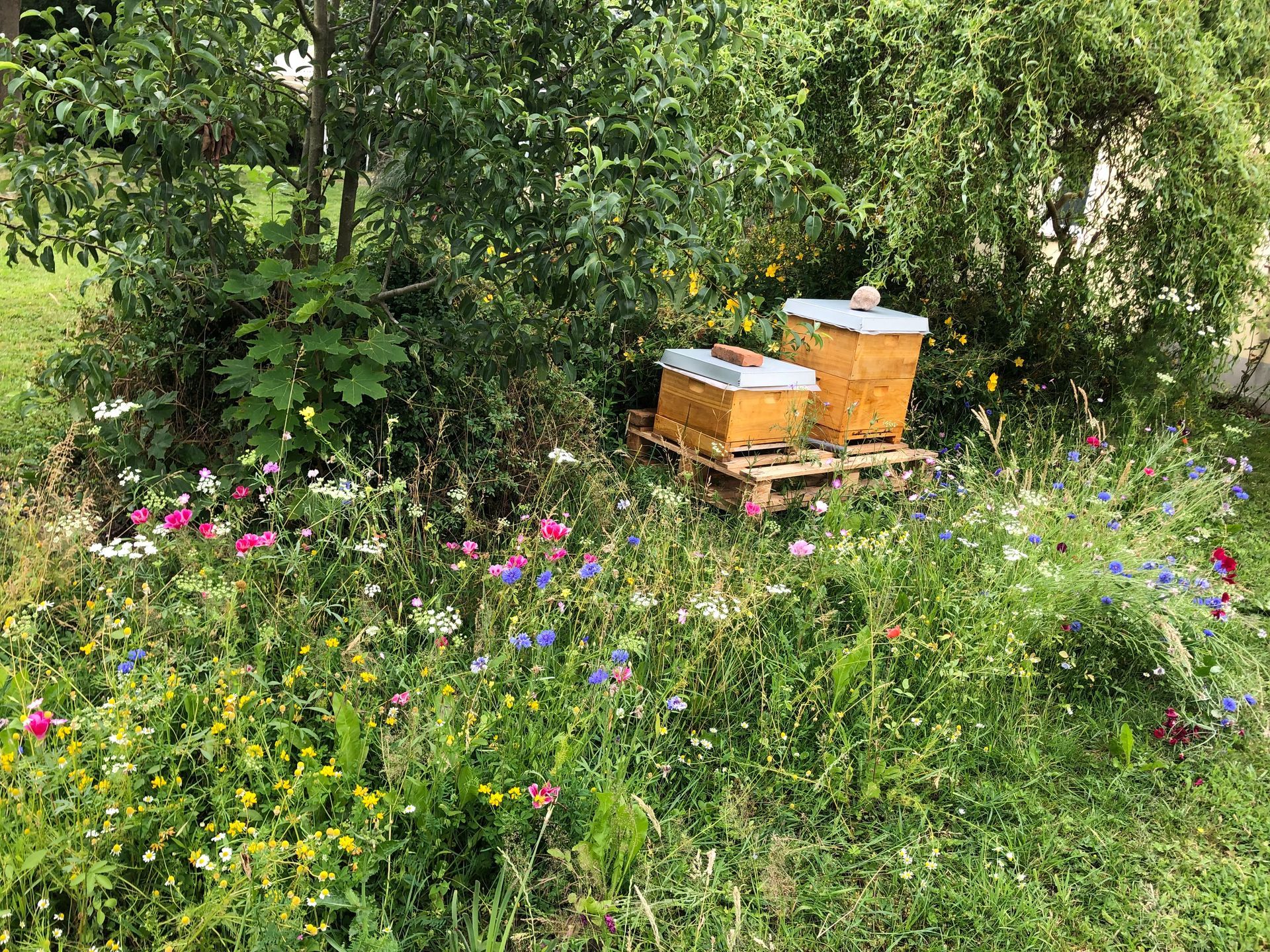 Stedinger Landhotel und Café Inh. Alex Wingert