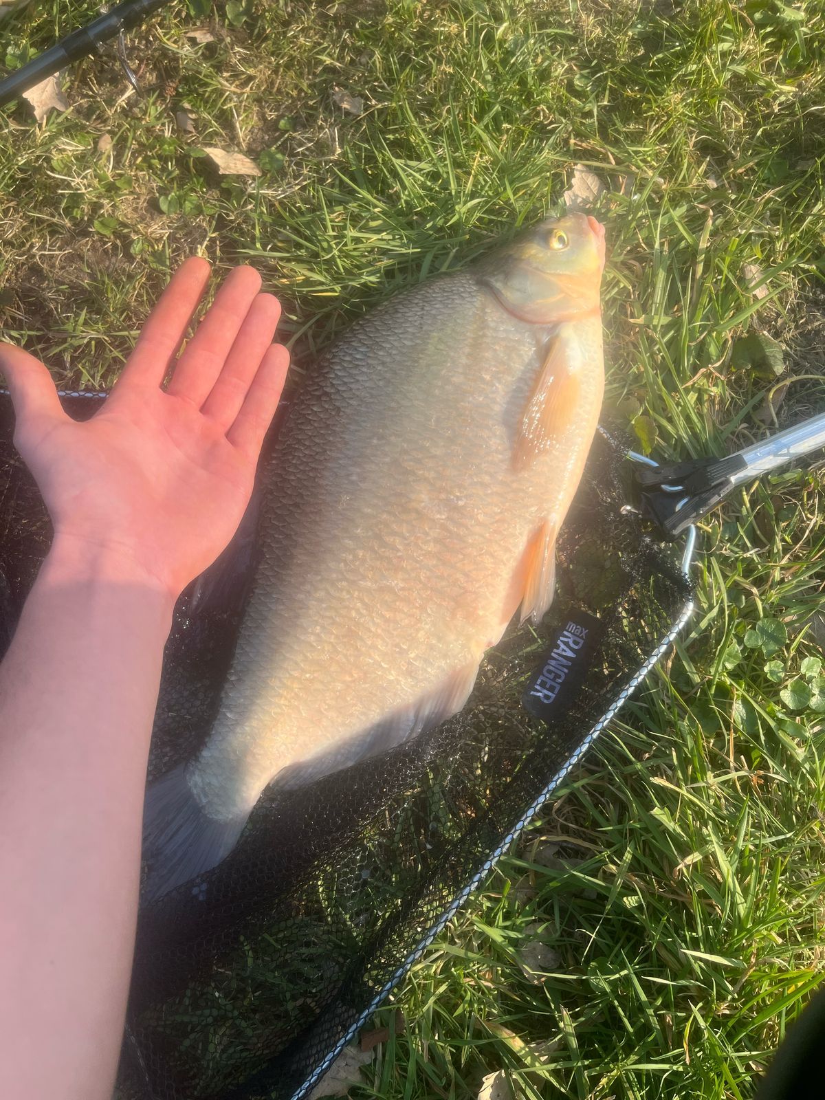 Stedinger Landhotel und Café Inh. Alex Wingert