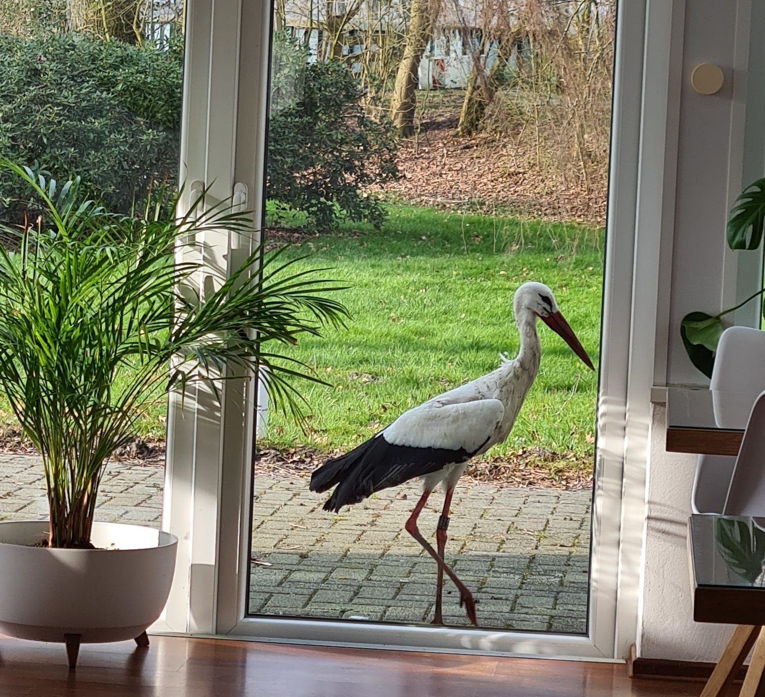 Stedinger Landhotel und Café Inh. Alex Wingert