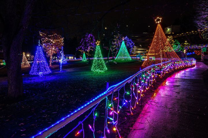 Des guirlandes de Noël illuminent un parc la nuit ; des arbres colorés et une clôture.