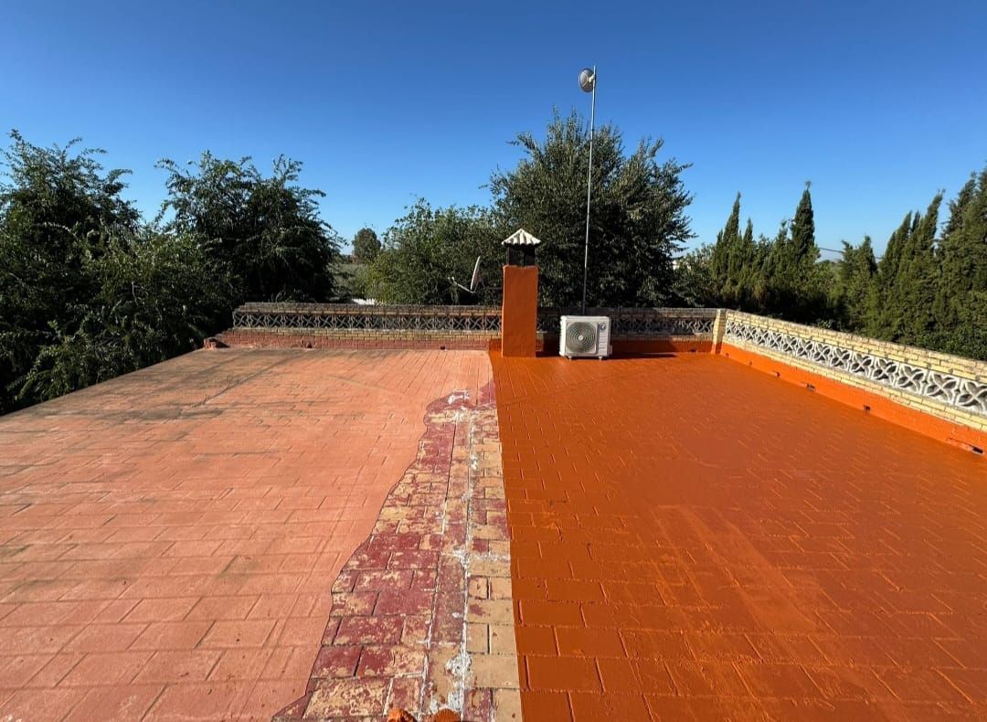 Techo medio pintado de color naranja; chimenea y valla del tejado visibles, con árboles y un cielo azul claro al fondo.