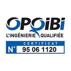 logo opoibi