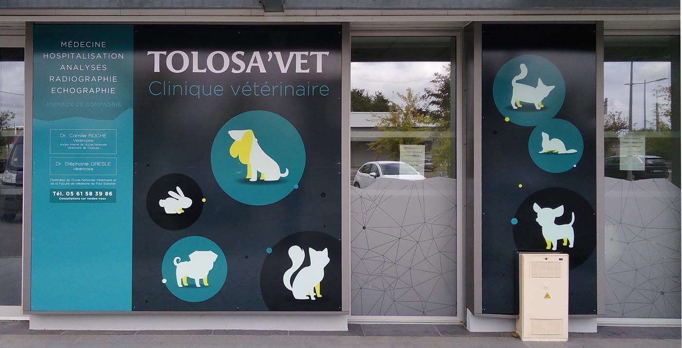 Façade de magasin pour TOLOSA VET avec des graphismes sur le thème des animaux de compagnie et une porte vitrée.