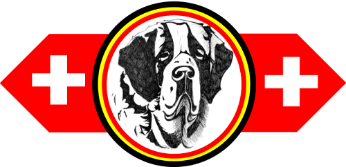 Belgische Sint-Bernard Club_logo