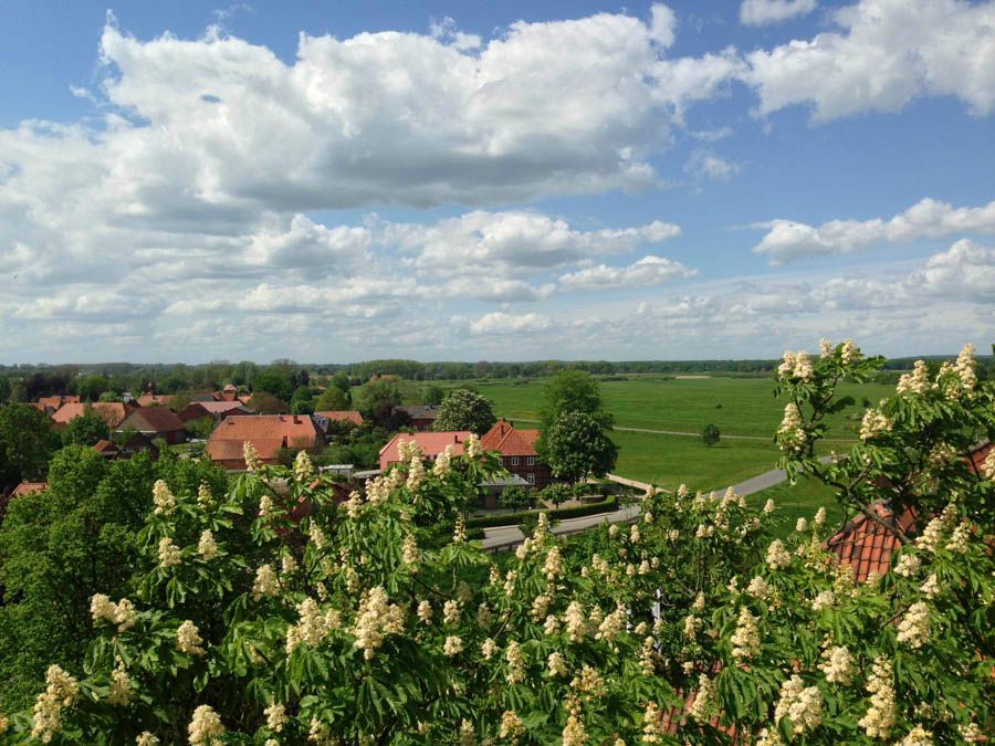 Ein Blick auf ein Dorf von einem Hügel aus mit Blumen im Vordergrund.