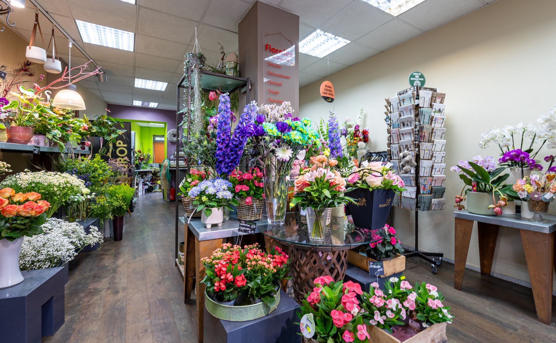 Innenansicht eines Blumenladens mit farbenfrohen Blumensträußen und Topfpflanzen auf Auslagetischen und Regalen.