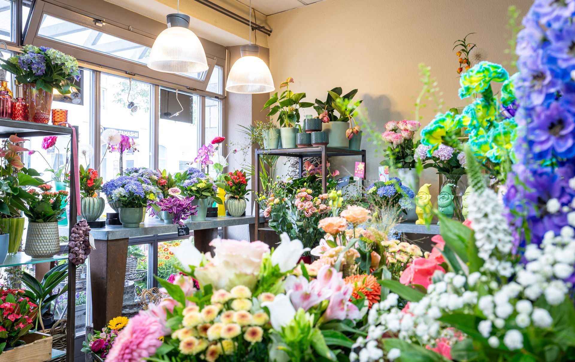Ein heller Blumenladen mit farbenfrohen Sträußen, Topfpflanzen und Hängelampen am Fenster