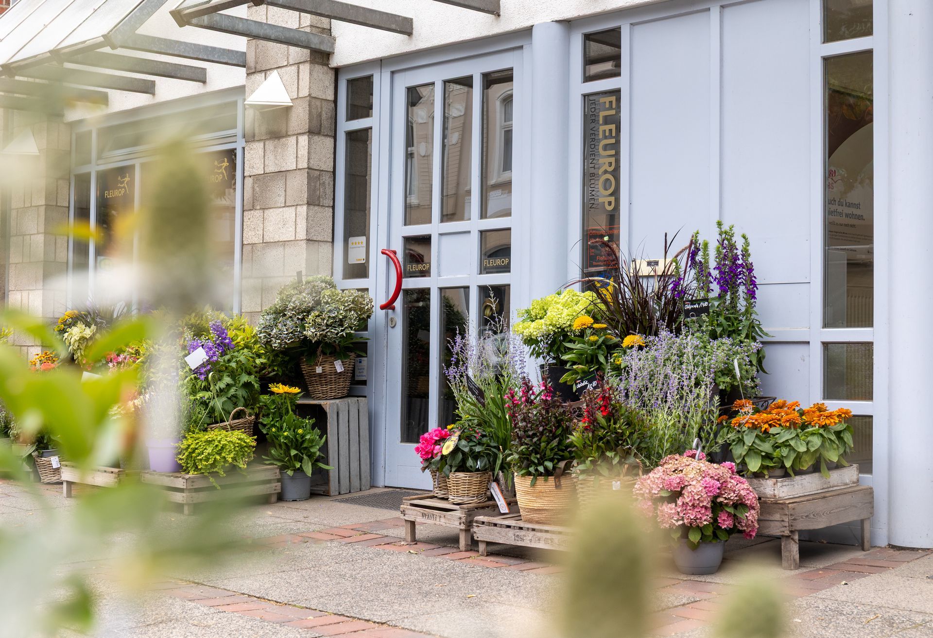 Blumenreicher Eingangsbereich mit lavendelfarbenen Türen und Topfblumen neben einem Steinhaus