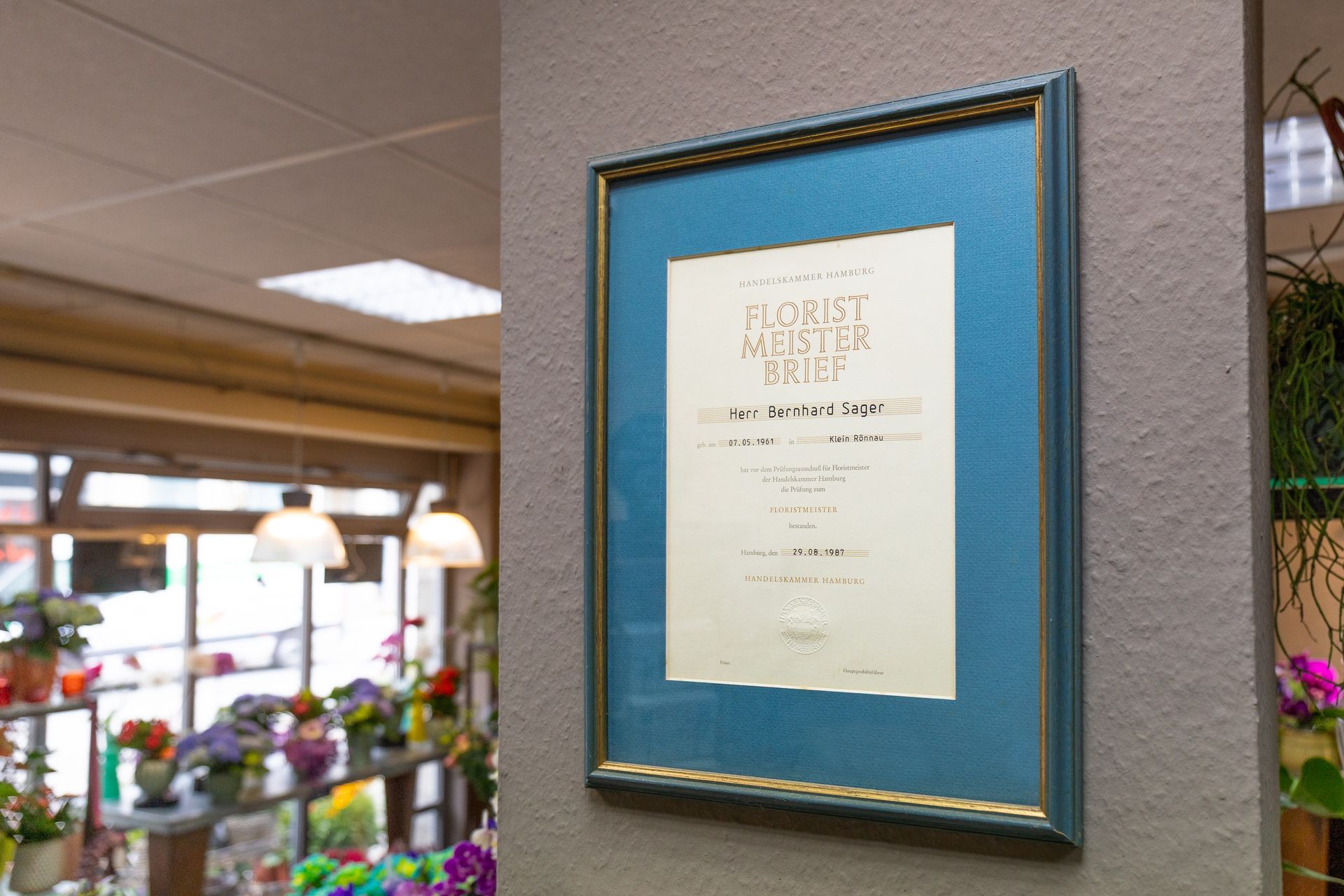 Gerahmte Urkunde an einer grauen Wand mit blauem Passepartout, in einer Lobby in der Nähe von Blumenarrangements und Fenstern