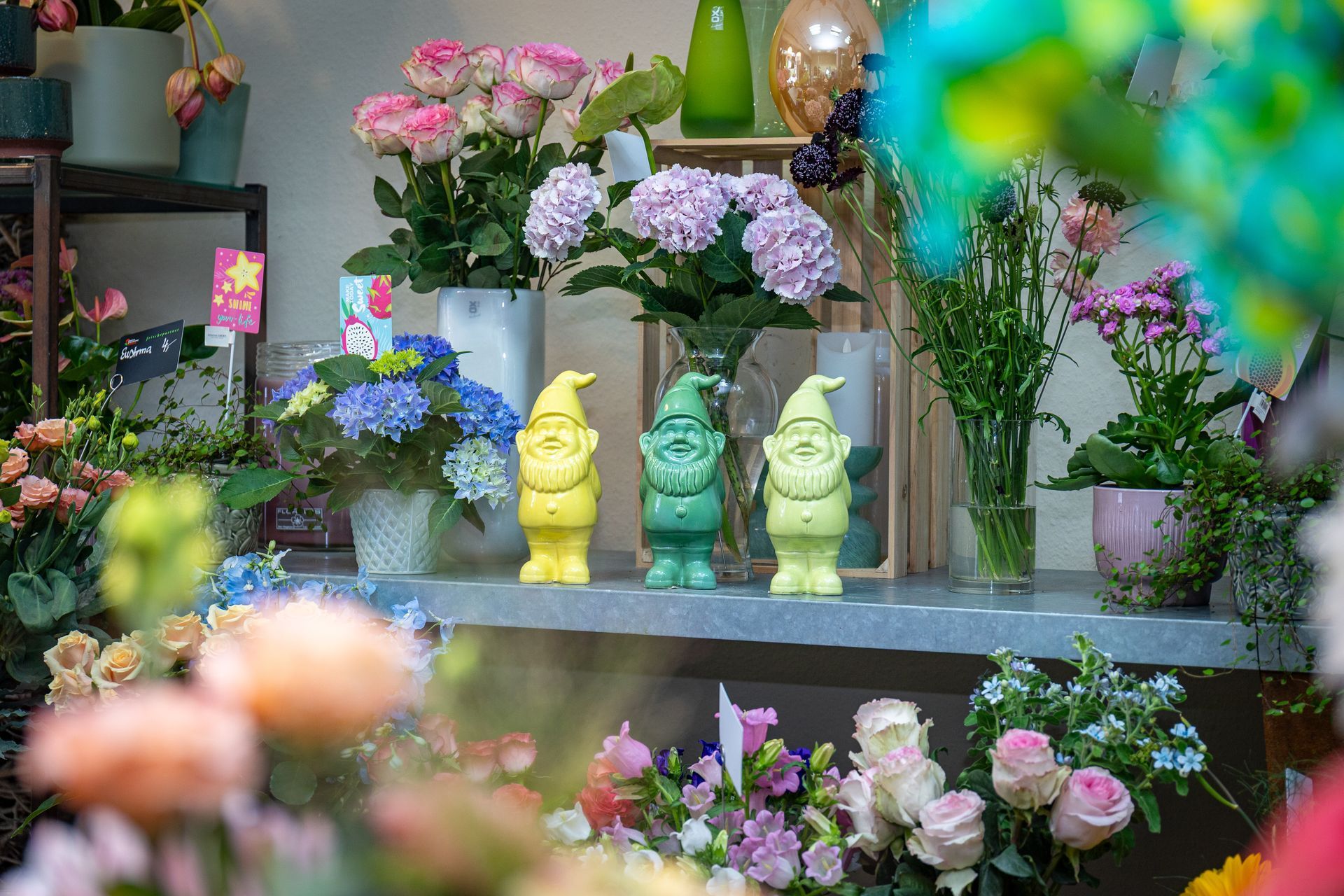 Bunte Blumenauslage mit Topfblumen und drei kleinen Katzenfiguren auf einem Regal
