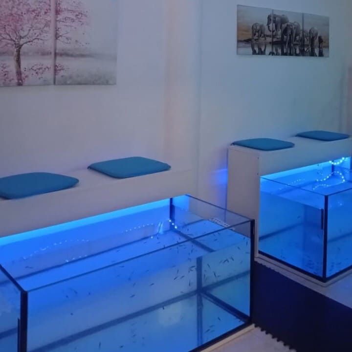 Una habitación con dos peceras y un cuadro en la pared.