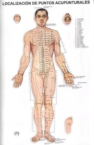 Un diagrama del cuerpo de un hombre con puntos de acupuntura.