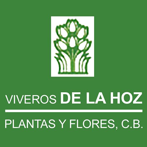 logotipo cabecera