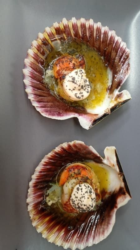 Dos vieiras sobre una superficie gris, cada una aderezada con hierbas y salsa en su concha.