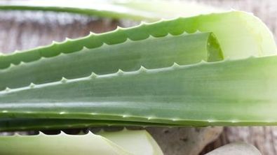 Memory Coiffure & Kosmetik