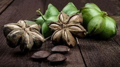 Memory Coiffure & Kosmetik