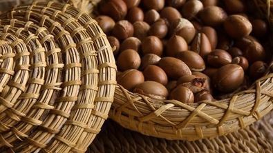 Memory Coiffure & Kosmetik