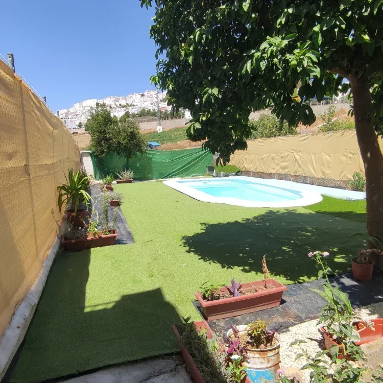 Patio trasero con piscina, césped artificial y varias plantas en maceta; día soleado.