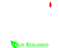 Combustibili Facchi SA logo