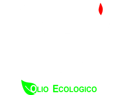 Combustibili Facchi SA logo