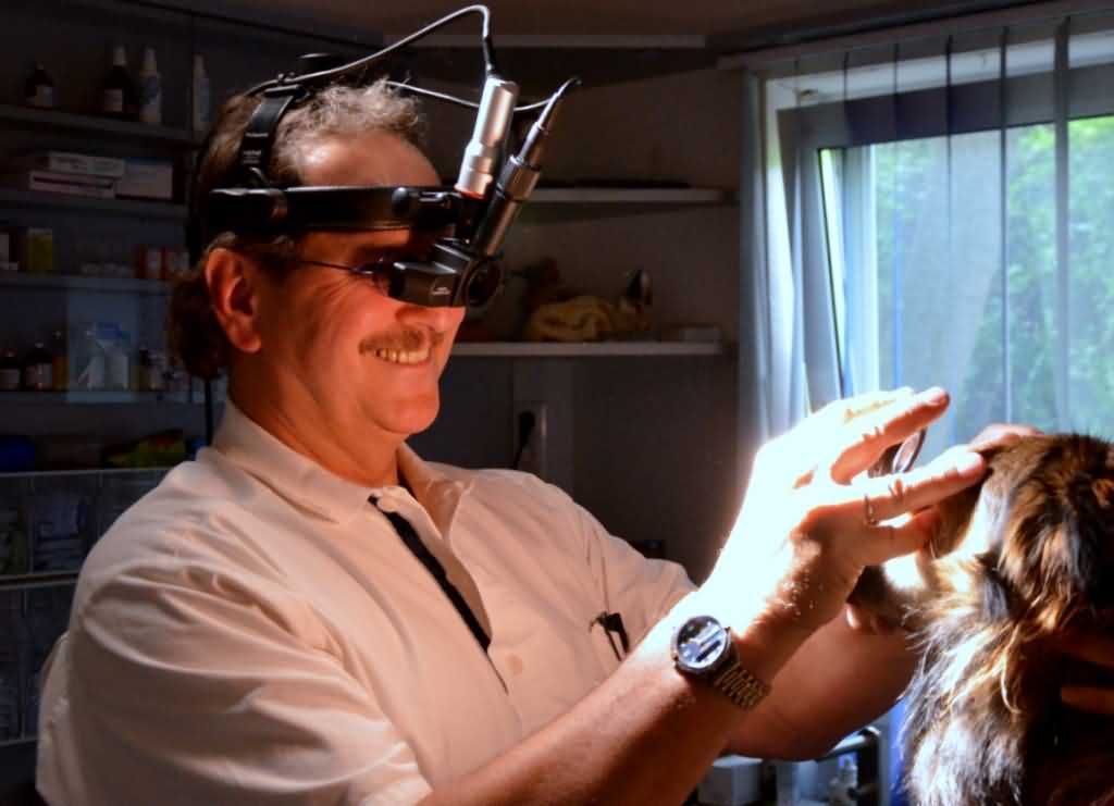 Tierärztliche Gemeinschaftspraxis Dr. Reinhard Schramm