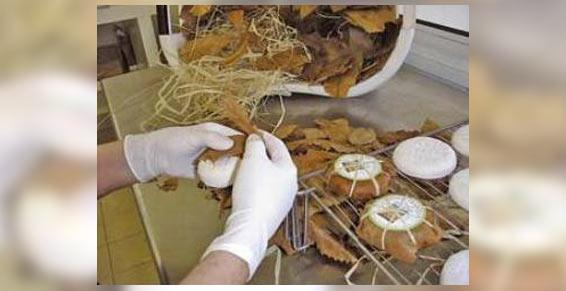 Photo d'une personne en train d'emballer un fromage