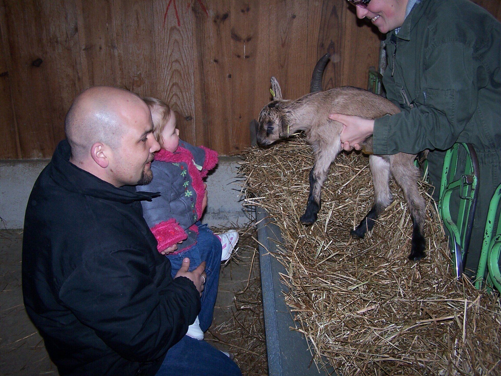 Photo d'un homme montrant un chevreau à un autre homme et sa fille
