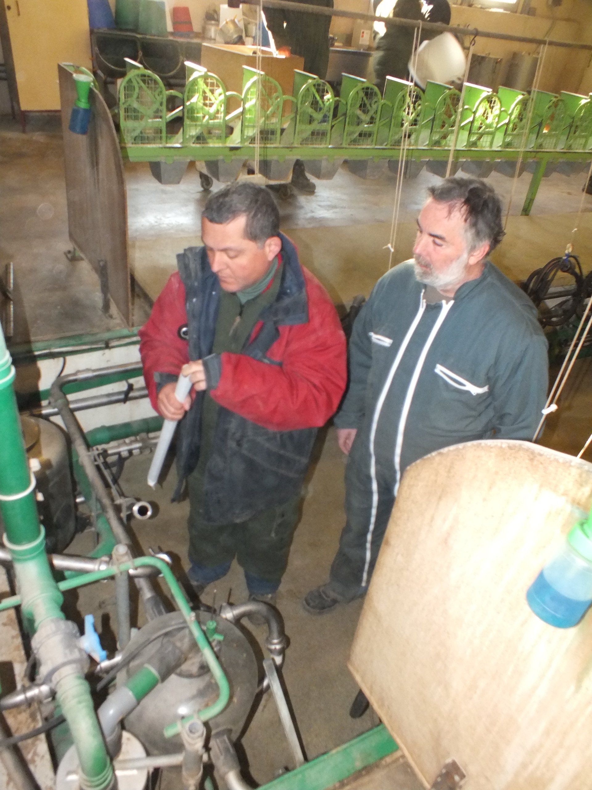 Photo de deux hommes dans la chèvrerie