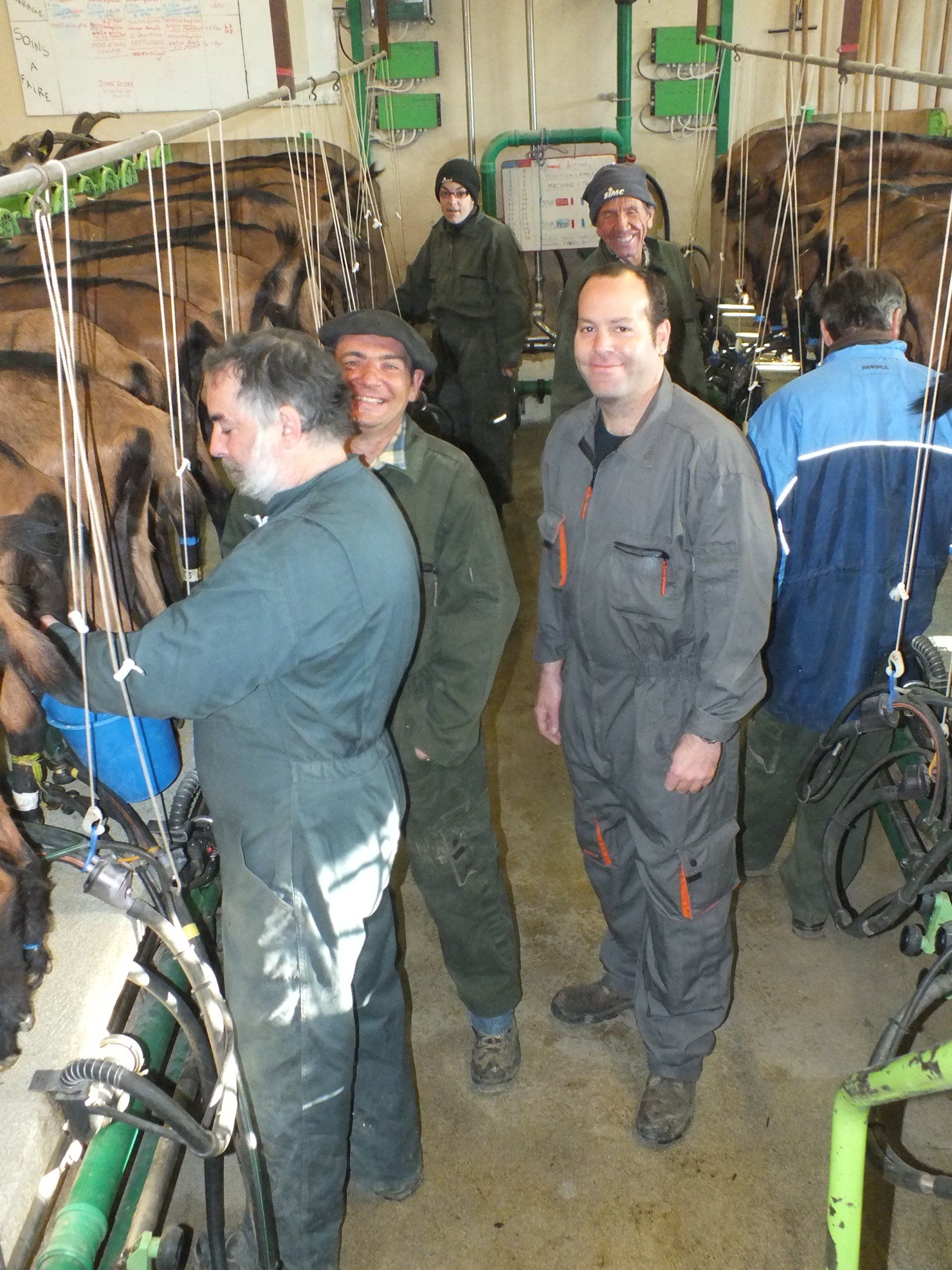Photo de plusieurs personnes dans une salle de traite