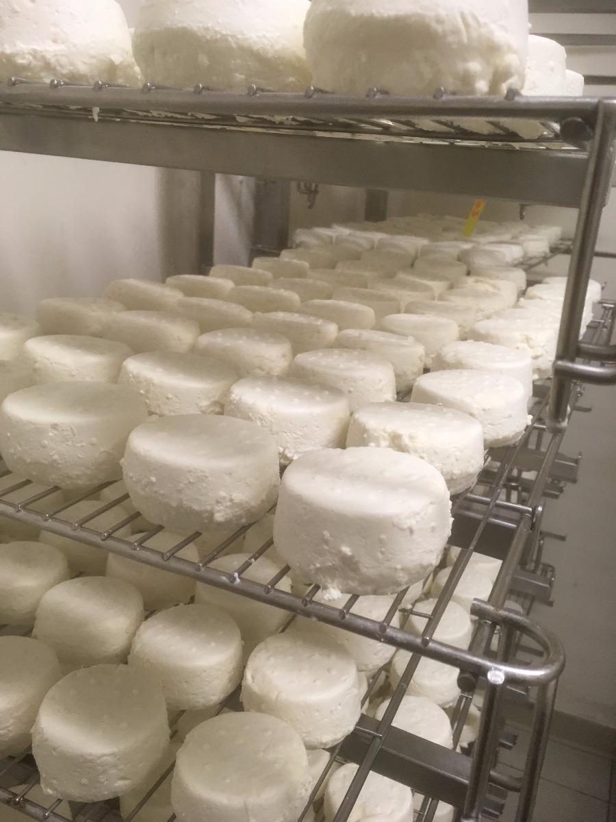 Photo de boules de fromage sur des grilles