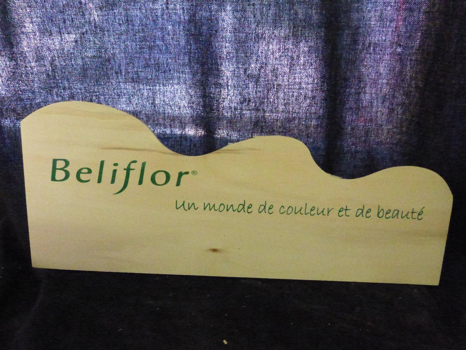 Photo d'une sérigraphie sur bois pour une marque Beliflor