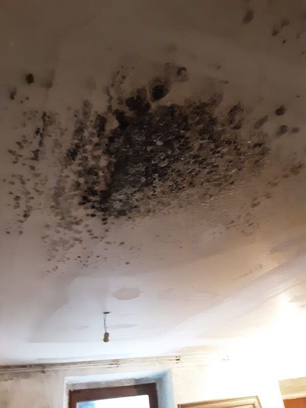 Plafond présentant une grande tache de moisissure foncée et des dégâts d'eau au-dessus d'une fenêtre.